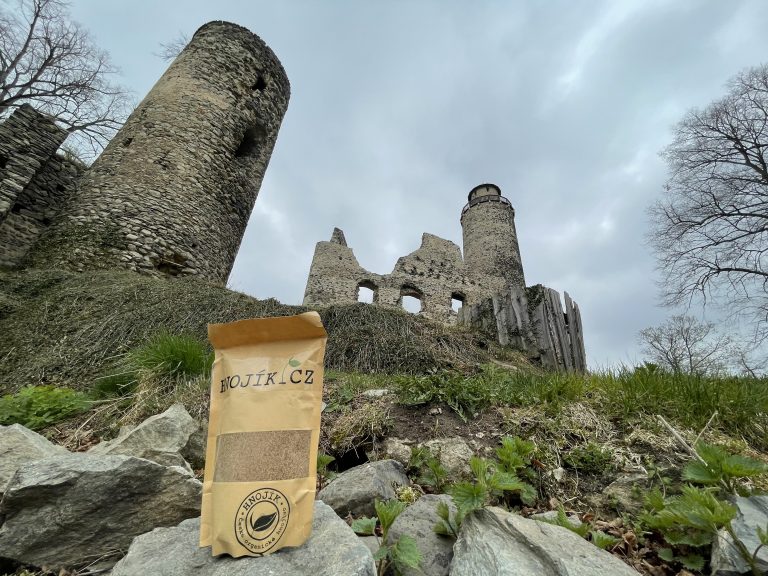 Hrad Kostomlaty