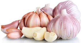 Düngung von Gartenpflanzen 19 Knoblauch düngen