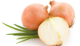 Düngung von Gartenpflanzen 20 Zwiebeln düngen