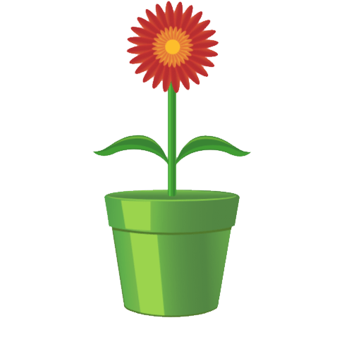 fast growing houseplants