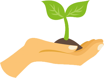 manifestations of deficiencies in plant nutrition