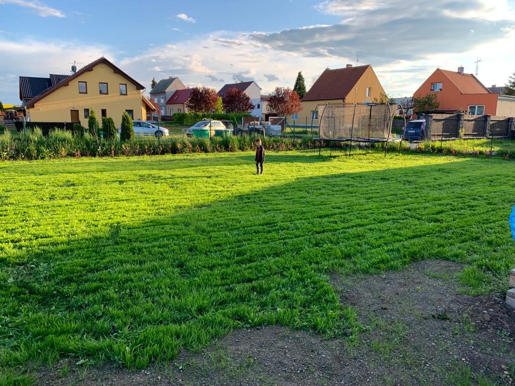 einen neuen Rasen düngen