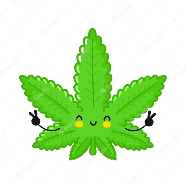 Marihuana-Dünger 6 hnojivo na marihuanu