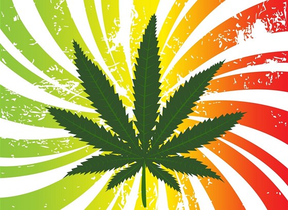 Marihuana-Dünger 1 hnojivo na marihuanu
