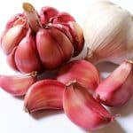 Dünger für Knoblauch in einer Papiertüte im Garten