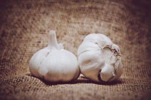 Knoblauch