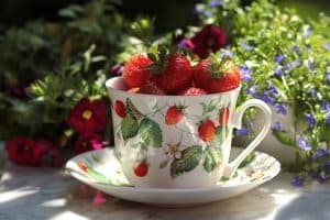 Gartenerdbeeren– reife Früche in einer Tasse