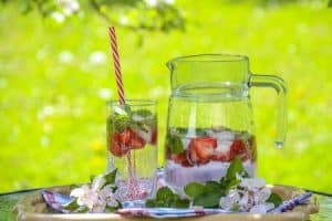 Erdbeeren pflücken und lagern – Erdbeerlimonade