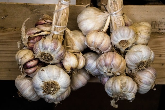 Knoblauch trocknen