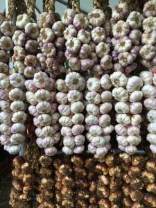 Trocknen von Knoblauch