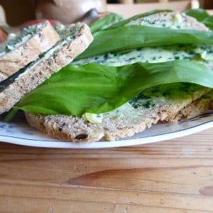 Brot mit Aufstrich und Bärlauch