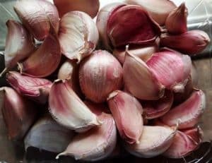 Beizen von Knoblauch – Knoblauchzehen werden 2 Stunden lang gebeizt