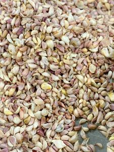 Beizen von Knoblauch – die gebeizten Knoblauchzehen werden getrocknet und in einer dünnen Schicht gelagert