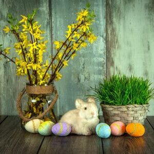 Osterdekoration auf Holz: blühende Forsythienzweige in einer Vase, ein weißes Kaninchen, ein Körbchen mit frischem Gras und bunte Ostereier