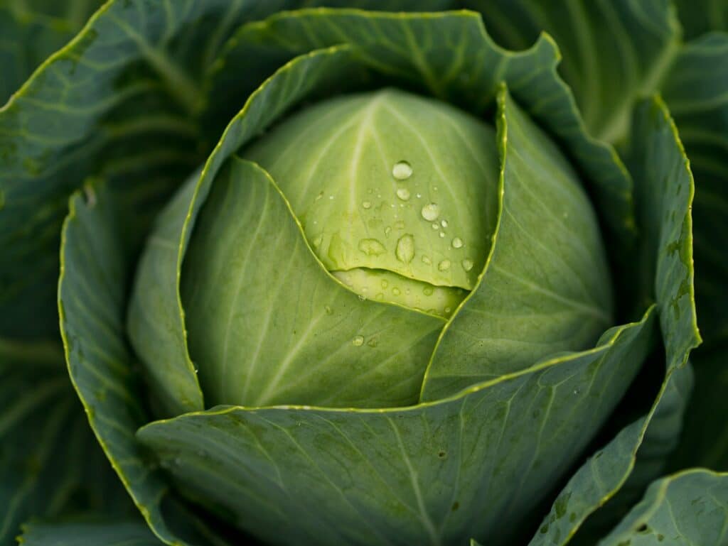 Kohl