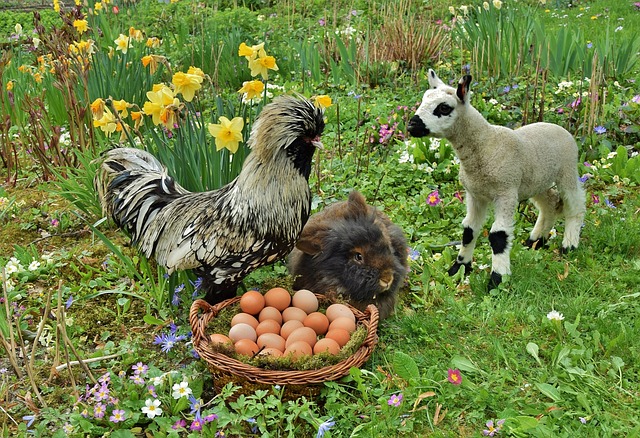 frohe und fröhliche Osterfeiertage