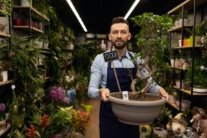 Verkauf von Bonsai
