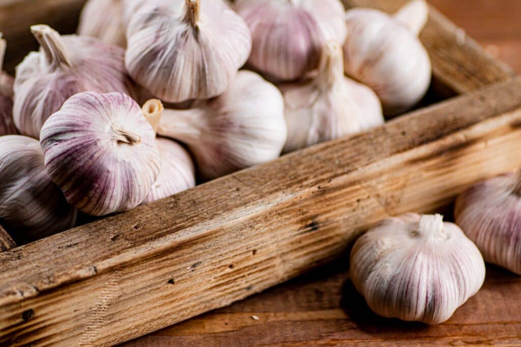Knoblauch