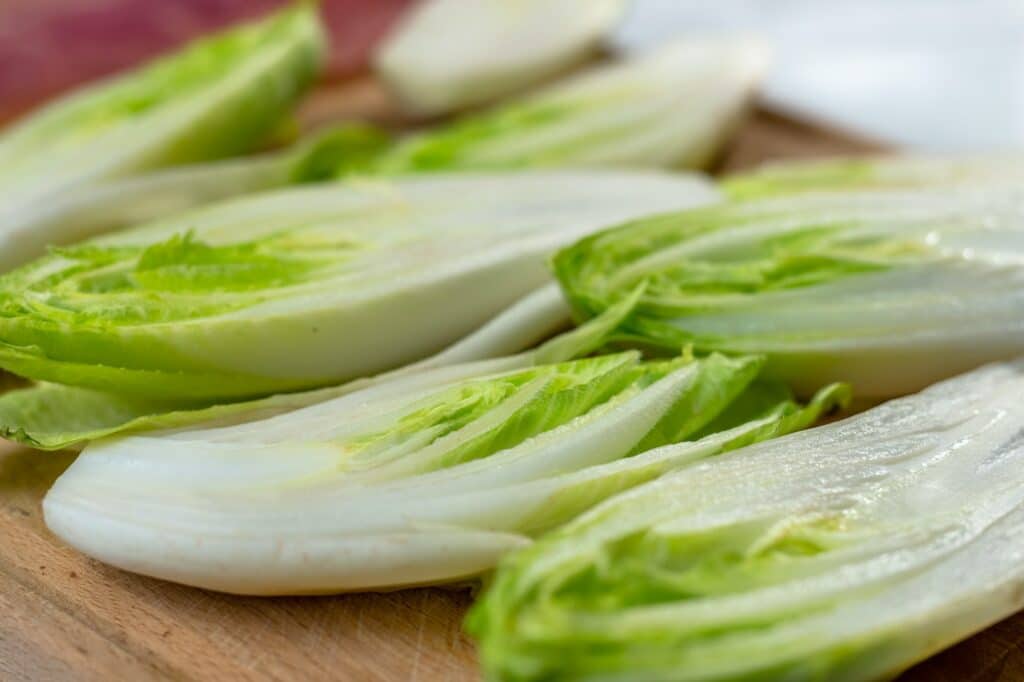 Salatzichorie