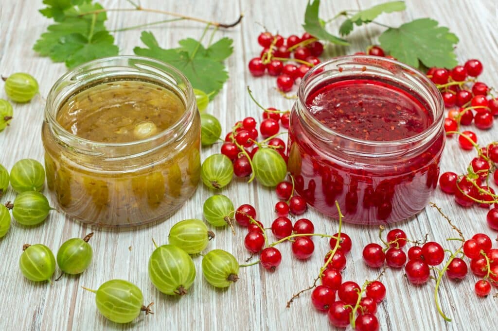 Stachelbeeren- und Johannisbeerenmarmelade