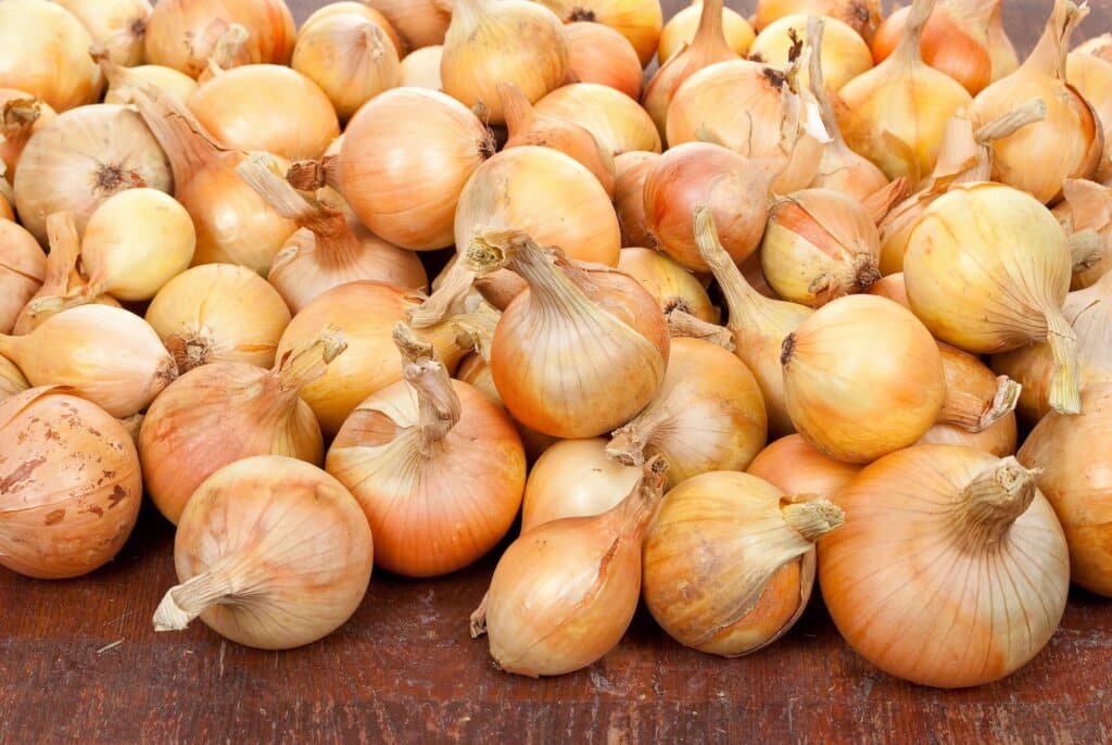 Zwiebel