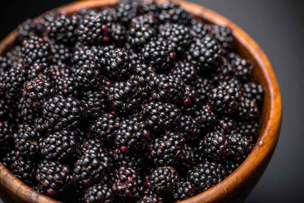 Brombeeren