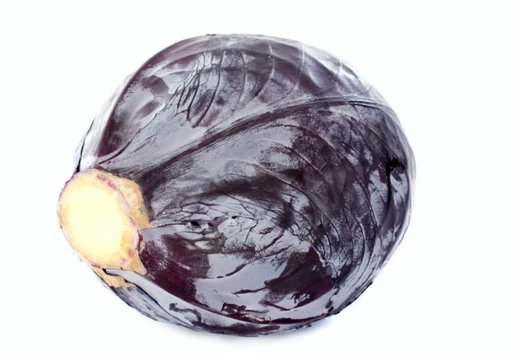 Rotkohl