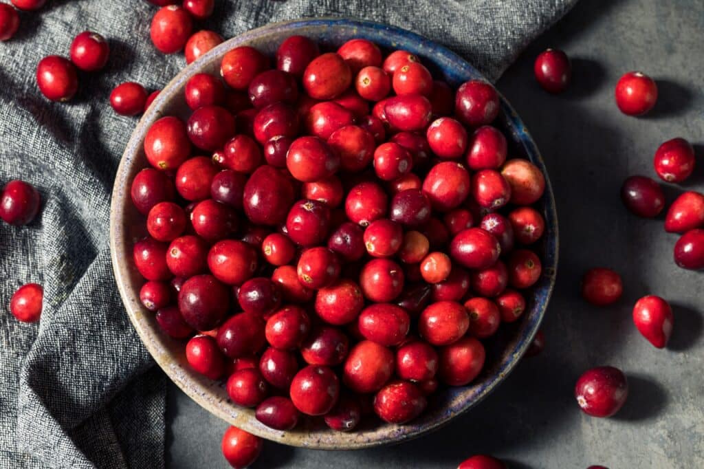 Preiselbeeren