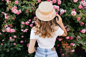 Kletterrose rosa