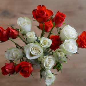 Strauß aus roten und weißen Rosen