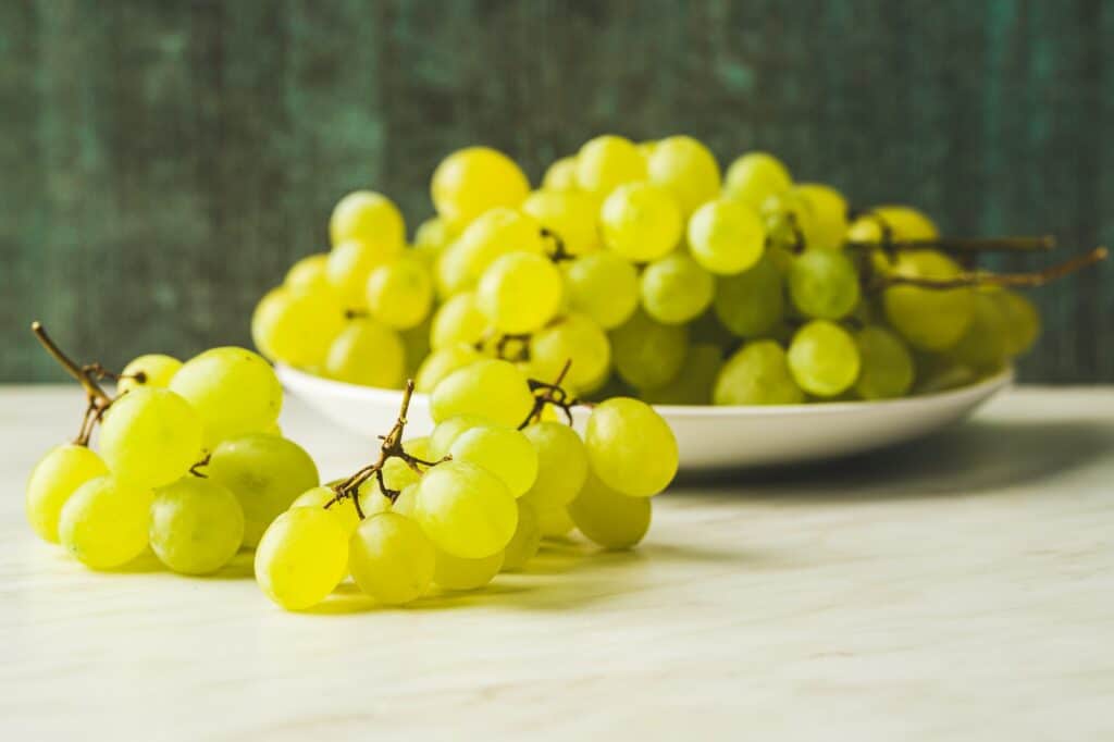 Weinrebe - Weintrauben