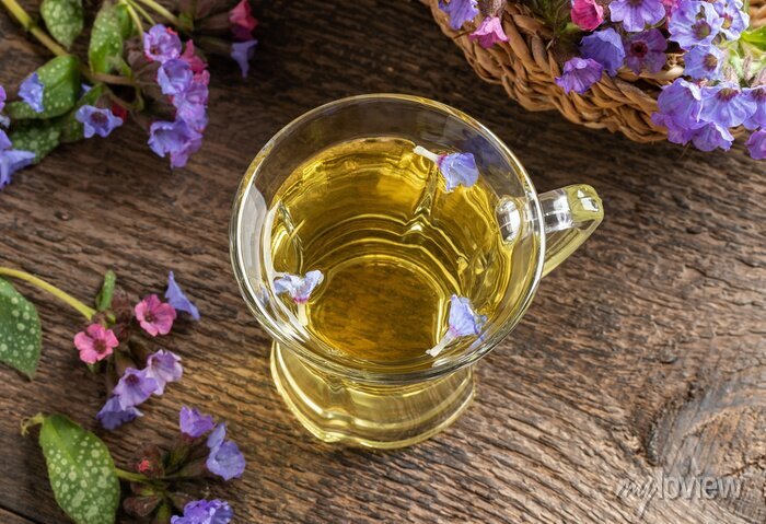 Lungenkraut Tee Pulmonaria