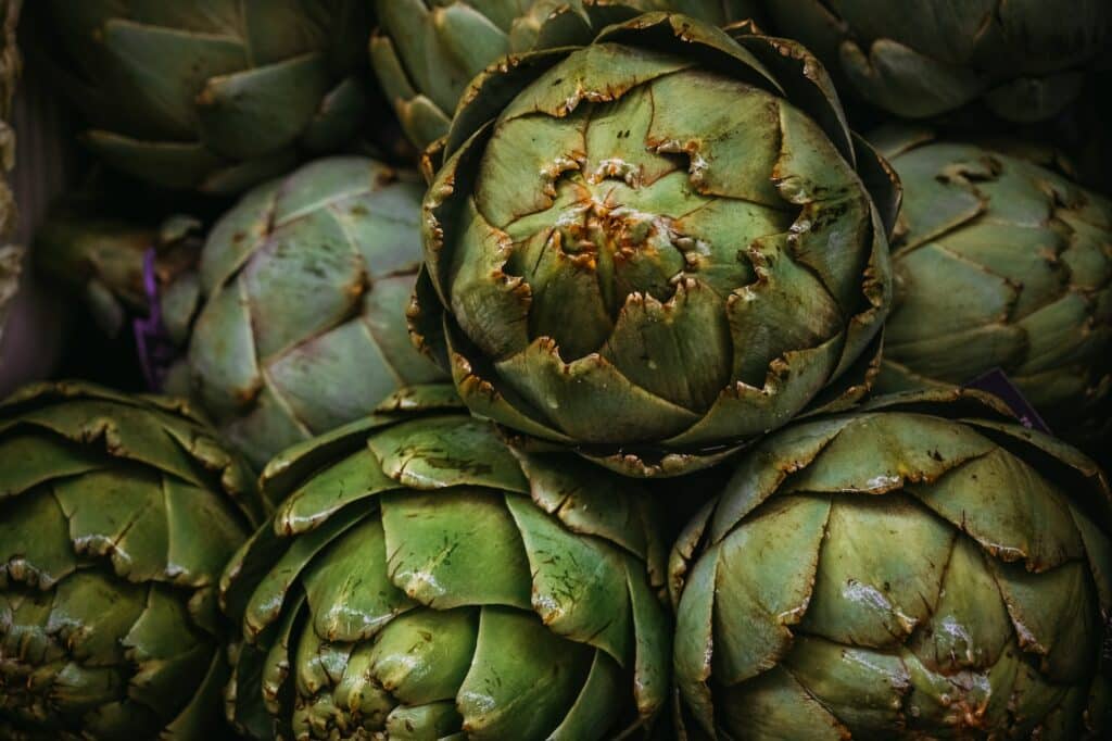 Artischocke (Cynara)