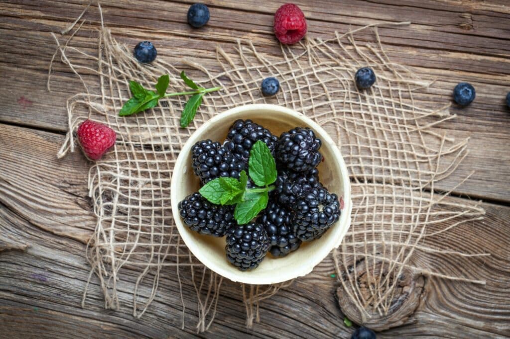 Brombeeren Schüssel mit Brombeeren