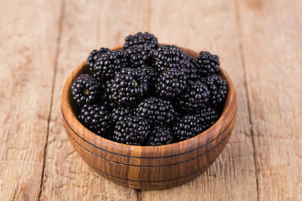 Brombeeren Miesa