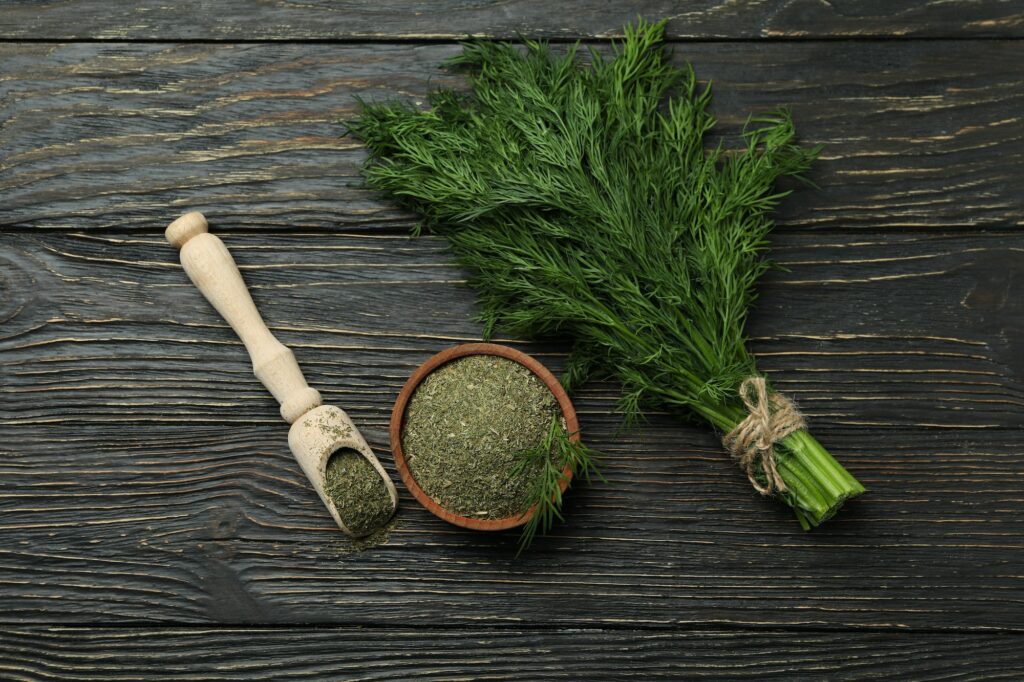 Duftender Dill
