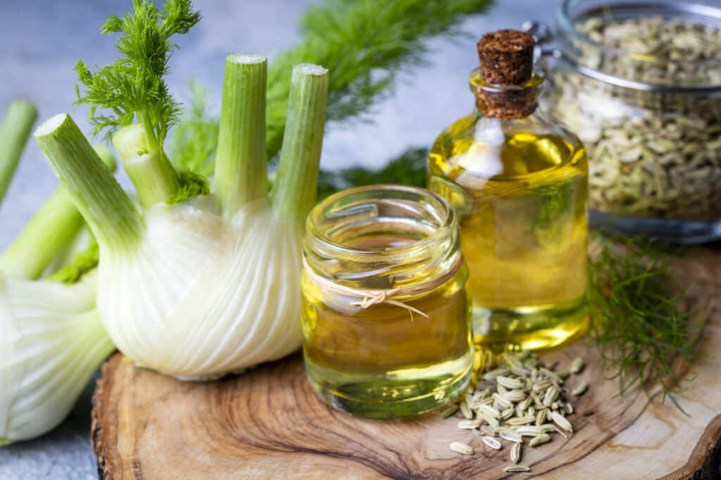 Fenchel in der Schwangerschaft - Knollen, Öl und Samen