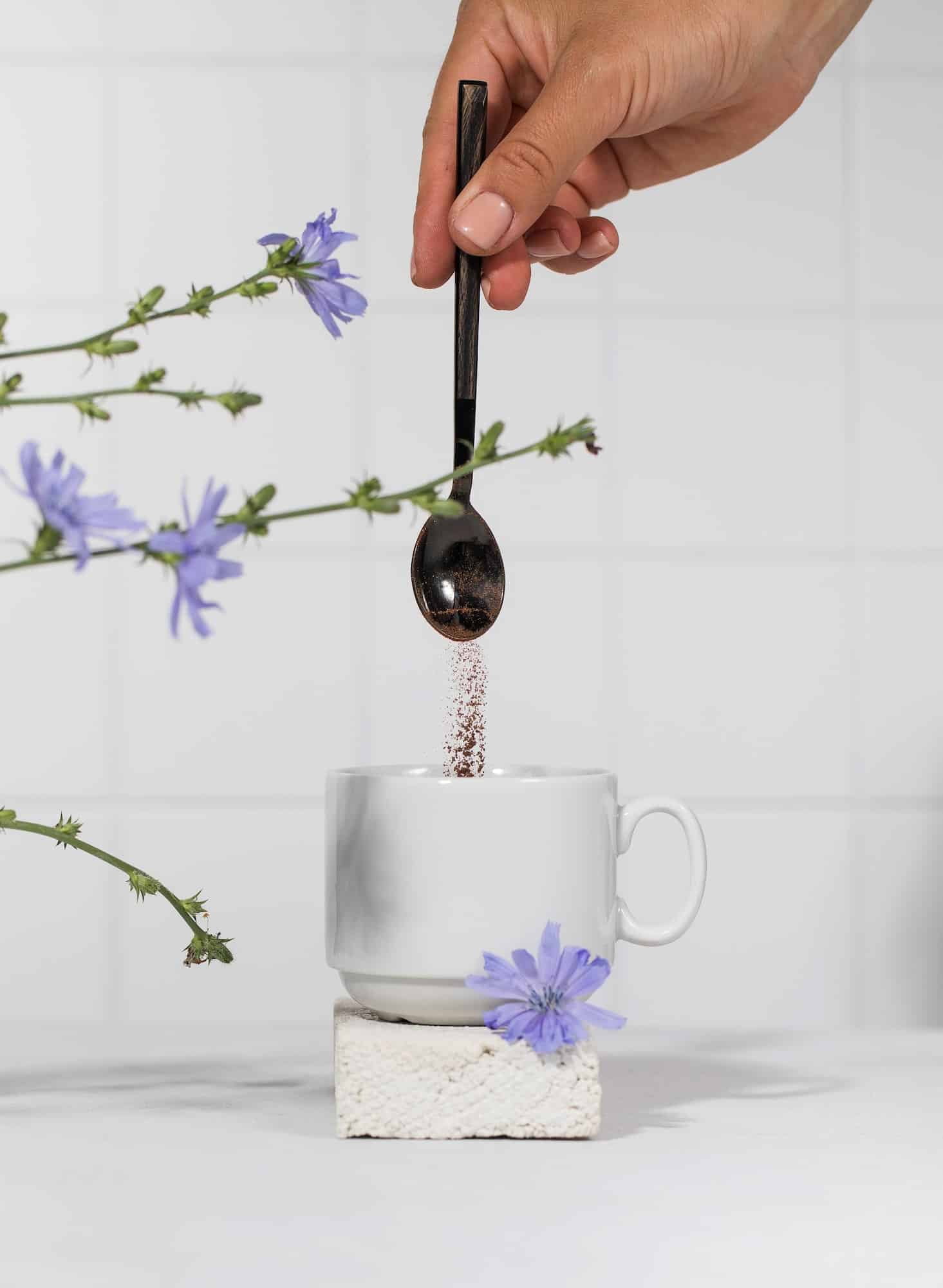 Zichorienkaffee — das Getränk aus gerösteter Wegwartenwurzel in einer weißen Tasse und blaue Blüten der Gemeinen Wegwarte