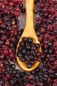 Schwarze Holunderbeeren