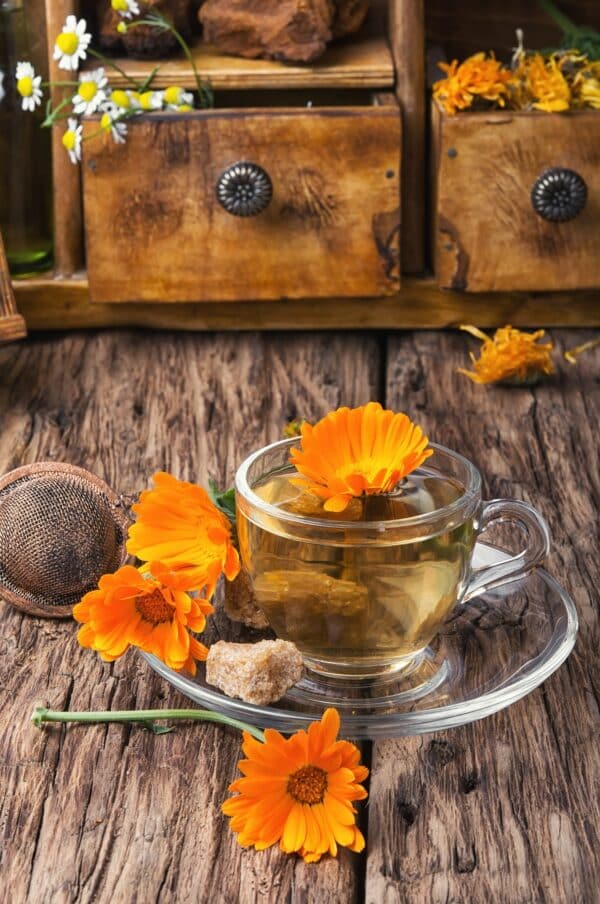 Tasse Ringelblumentee mit getrockneten Blüten