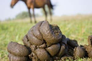 Porovnání hnojíku s ostatními hnojivy Koňský trus