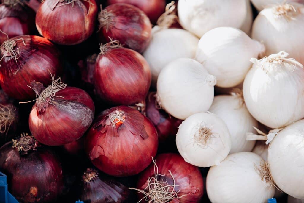 Zwiebelgemüse - rote und weiße Zwiebeln