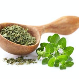 Oregano Gewürz
