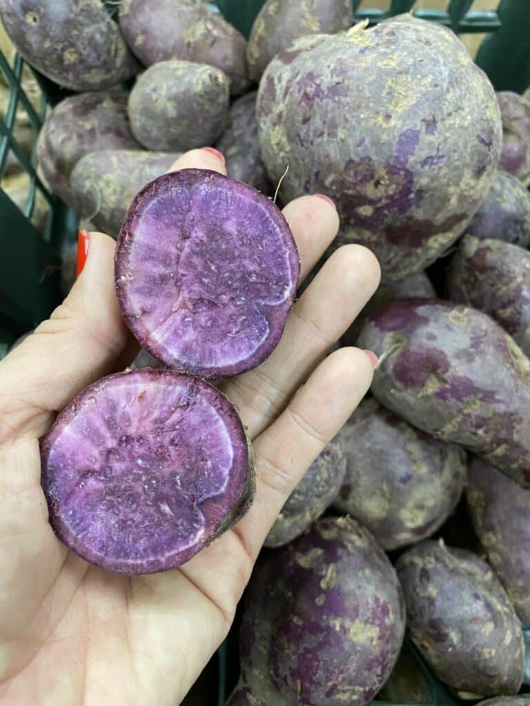 Ziersüßkartoffeln - violett