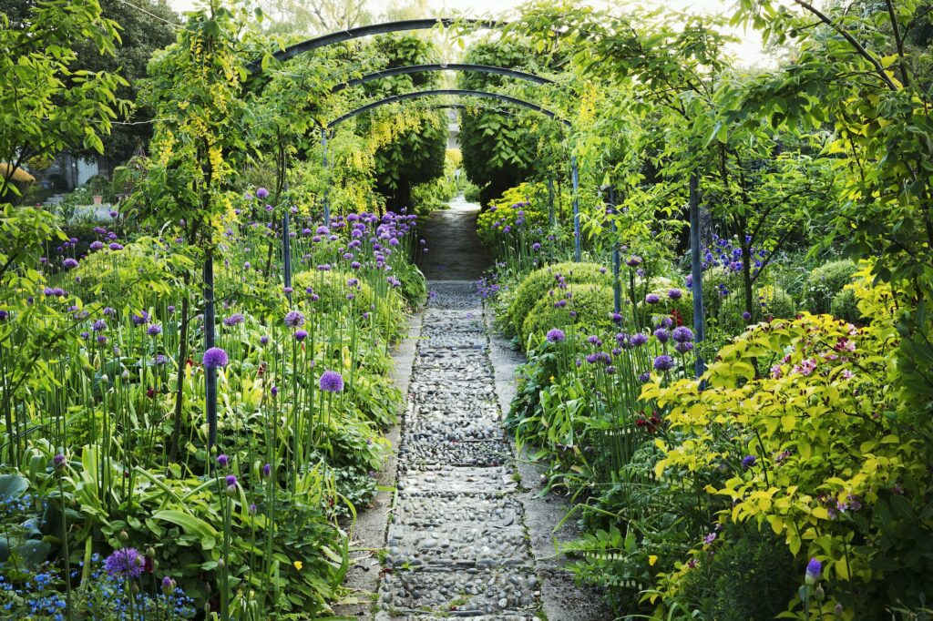 Blick entlang eines Gartenwegs, Blumenbeete mit lila Allium und Bäume im Hintergrund.