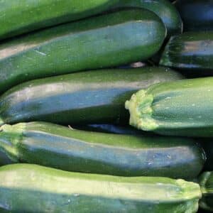 Haufen geernteter dunkelgrüner Zucchini übereinandergestapelt