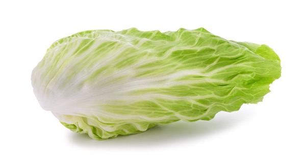 Salatzichorie Zuckerhut