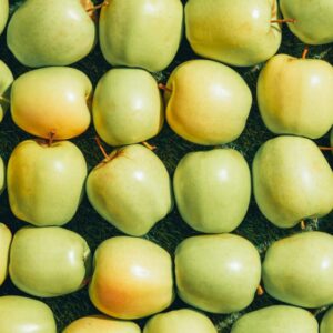 Apfelschorf – befällt Früchte