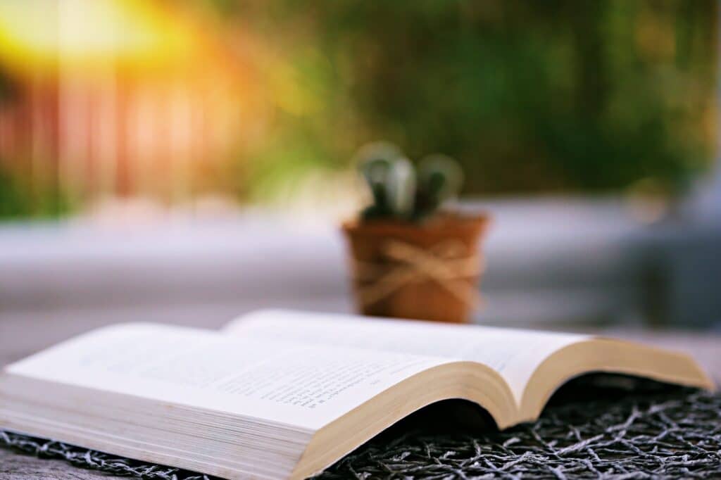 Neue Saison im Garten - Buch