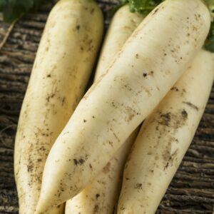 Vier lange weiße Rettichwurzeln (Daikon) mit grünem Laub auf einer Holzunterlage